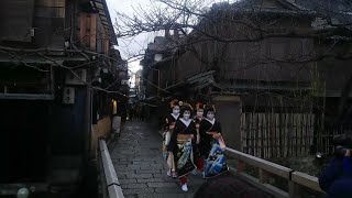 【祇園甲部】 2022年【始業式】#Maiko #Geiko #Kyoto