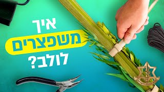 איך מכינים טבעות לארבעת המינים? | 60 שניות ותדעו...