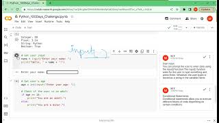 Day - 2 | Python | Data Types | User Input | Conditional Statements