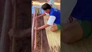 The Process of Hand-weaving a Mat