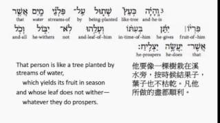 Psalm 1: Hebrew interlinear audio Bible 希伯來文聖經:詩篇第一篇