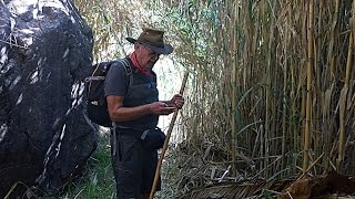 Wandern auf Gran Canaria - Tour 91, Rundwanderung ab San Bartolomé