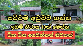 පට්ට අඩුවට ඉඩම් නිවාස 10ක් | Aduwata idam gewal | House for sale | Land sell | Ikman selling | 2024