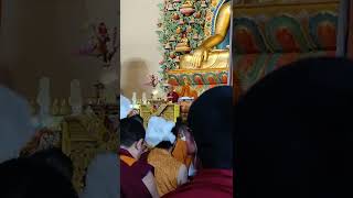 རྫོང་སར་མཁྱེན་བརྩེ་རིན་པོ་ཆེའི་བཀའ་ཆོས། (Short Video) || Himalayan Buddhist Monks ||