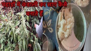 पहाड़ों में कंडाली का साग कैसे बनाते है #pahadilifestyle #pahadi #kandali  #saurabh #ghalwan #vlog