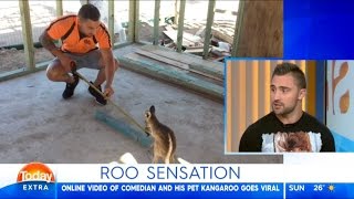 Australian Man That Has Kangaroo As Pet || Today Show Interview