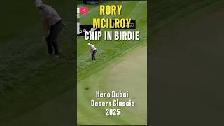 Rory Mcilroy's Perfect chip in Birdie