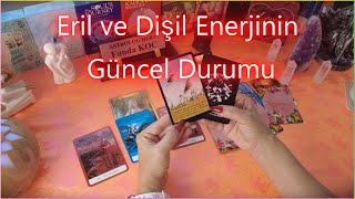 Eril ve dişilin güncel durumu nedir? Neler oluyor?