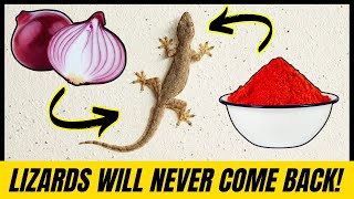 8 Incredible Ways to Get Rid of Lizards From Home FAST🦎 Proven Home Remedies