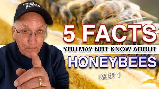 5 Facts About Honeybees Pt. 01 - Beekeeping 101 for Beginning Beekeepers