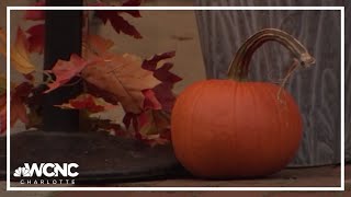 Salem, Mass. becomes a destination for fall foliage and spooky season