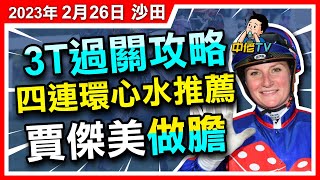 【中佬賽馬貼士】（2月26日 沙田混合）3T多寶過關攻略｜R4-5-6 四連環心水推薦｜賈傑美做膽 #賽馬賠率 #賽馬直播 #賽馬貼士#冷馬#過關#爆冷#3T多寶