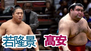 優勝🏆若隆景と髙安　大相撲2020年9月場所9日目