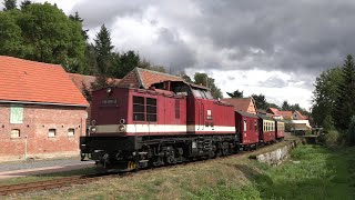 Big diesel locomotive on narrow gauge | Harzkamel roars through Harz (4K)