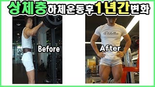 하체운동하면 진짜 몸이 변할까? 상체충의 경험담 [하체루틴포함]