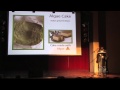 Jeffrey Bezaire - Algae Our Litte Friend with Big Solutions