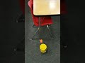 Amazing Robot Ball Toss #shorts