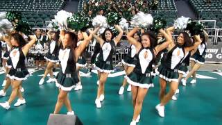 University of Hawaii Rainbow Warrior Dancers 