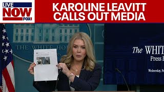 DOGE FINDINGS: Karoline Leavitt slams media on DOGE coverage while they sit stunned