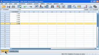 Basic Introduction to SPSS (part 1)