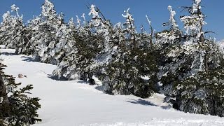 世界各国から愛される日本の雪。日本人のあなたは体験してる？