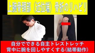 上腕骨頚部（近位端）骨折のリハビリストレッチ-背中に腕を回しやすくする（結帯動作）ストレッチ-