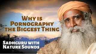 Why is Pornography​ the Biggest Thing ​on the Internet - Sadhguru with Sounds of Nature
