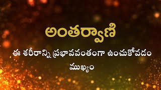 అంతర్వాణి |ఈ శరీరాన్ని ప్రభావవంతంగా ఉంచుకోవడం ముఖ్యం | Heartfulness | 18-07-2023