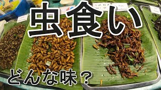 【ゲテモノ】タイのナイトマーケットで虫食いに挑戦！予想外の味にビックリ