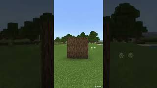 Minecraft# short #video#178