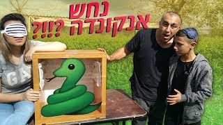 אתגר מה בקופסה עם חיות!! (השתבש לגמרי)