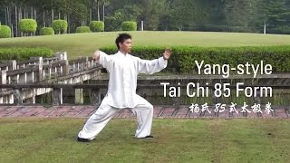 Yang-Style Tai Chi 85 Form : Part 2 (杨氏85式太极拳)