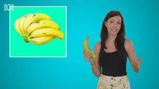 Are Bananas Herbs? - Sciencey Series 1 Ep 9