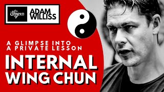 Internal Wing Chun Lesson: Soft Structure of the Arm