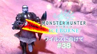 ワイルズに向けてのワールド修行#38【MHWIB】