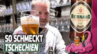 This is what tastes like on PROBIER Friday 🍻🔥 – Celebration Lager under the microscope!