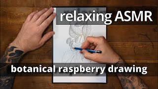 Botanical Drawing of a Raspberry Branch 🌿 | Relaxing ASMR Sketching