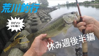 【荒川バス釣り】休み週後半！荒川水系釣行！