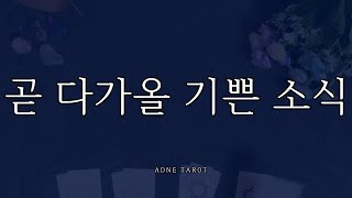 [타로] 곧 다가올 기쁜 소식