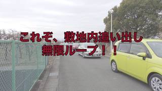 安八百梅園 駐車場～敷地内一周追い出し無限ループ