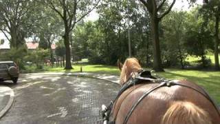 Melkboer met paard en wagen Zwijndrecht