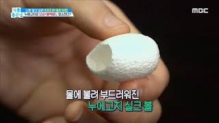 [LIVING]  Clean pores+blackheads with silkworms , 기분 좋은 날 20190807