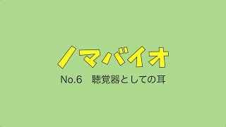 06 聴覚器としての耳