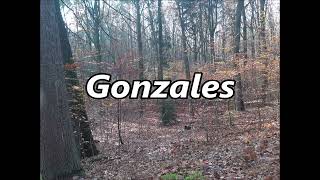 GONZALES as a family name   its meaning and origin