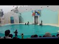 イルカショー 須磨海浜水族園 2012.04.29 15 00～