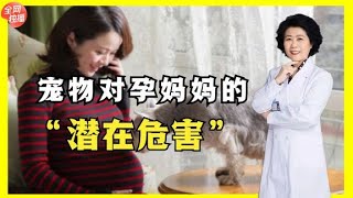 怀孕前和孕期，为什么不推荐养宠物？医生：都是为了孩子着想！ | 中医养生