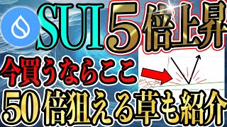 $SUIはここから５倍はいく！！初心者でも分かる！可能性しかないSUIの将来性と草コインについて解説！#ビットコイン #bitcoin #btc