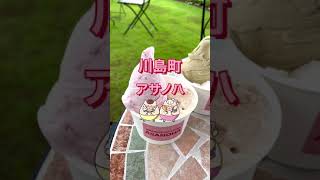 JAPANESE GELATERIA ASANOHA｜川島町のメニューが鬼滅なジェラート屋さん