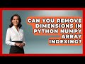 Can You Remove Dimensions In Python NumPy Array Indexing? - Python Code School