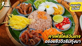 คาเฟ่สไตล์วินเทจ บรรยากาศชิววิวริมทุ่งนา